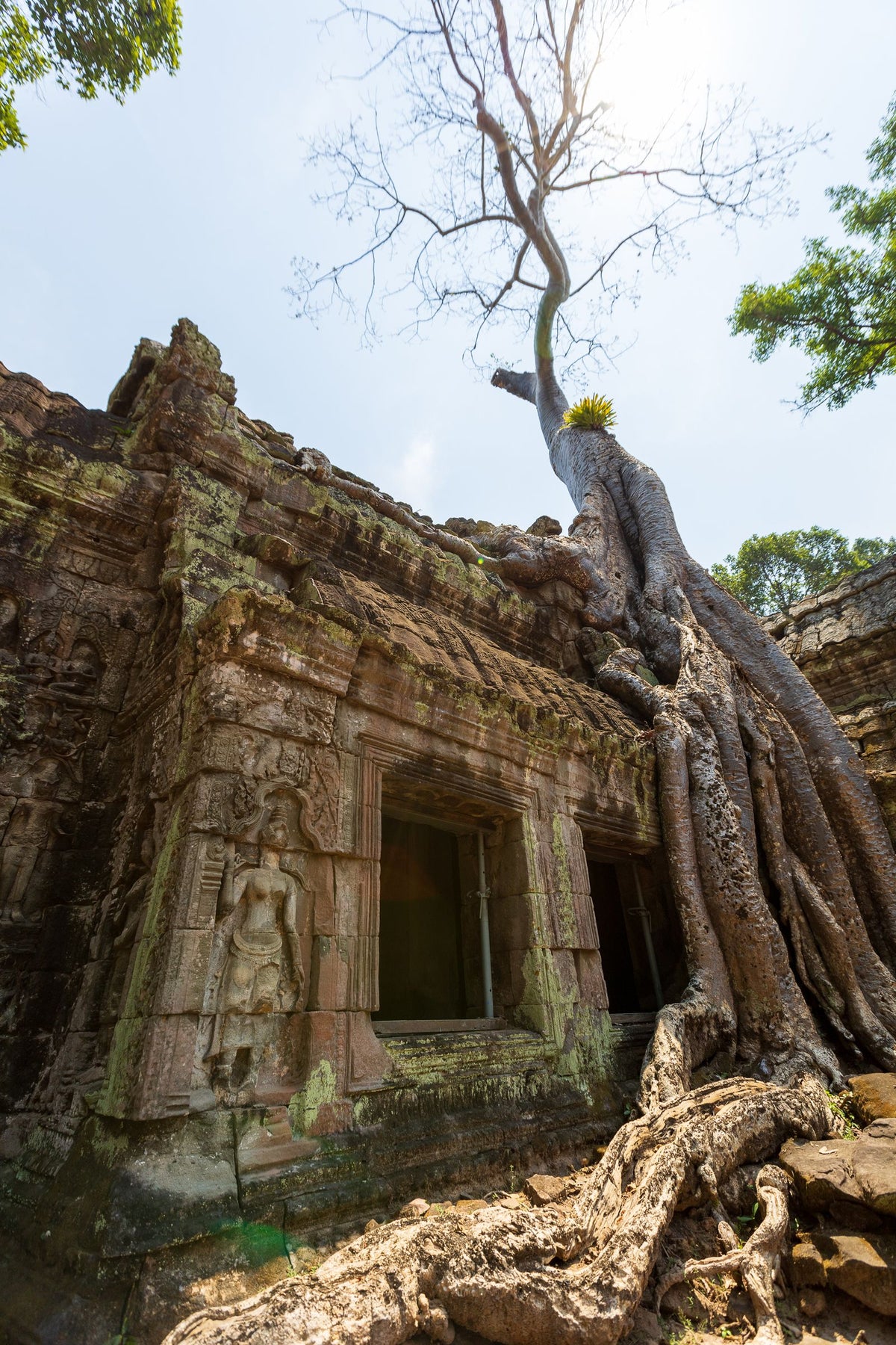 Ta Prohm temple with tree roots