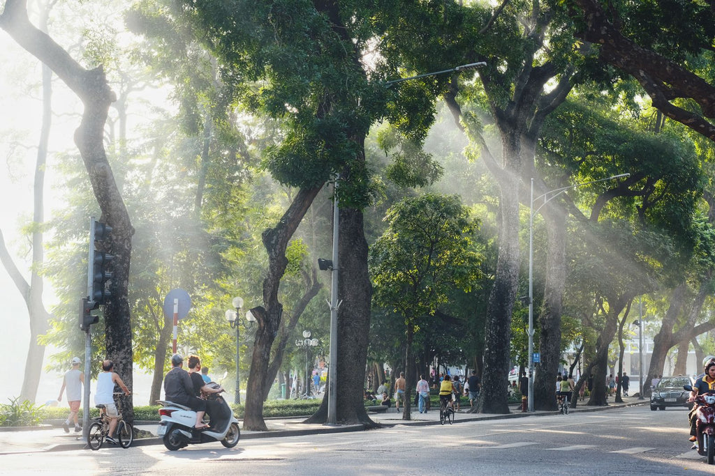 Morning light on a street in Hoan Kiem, Hanoi