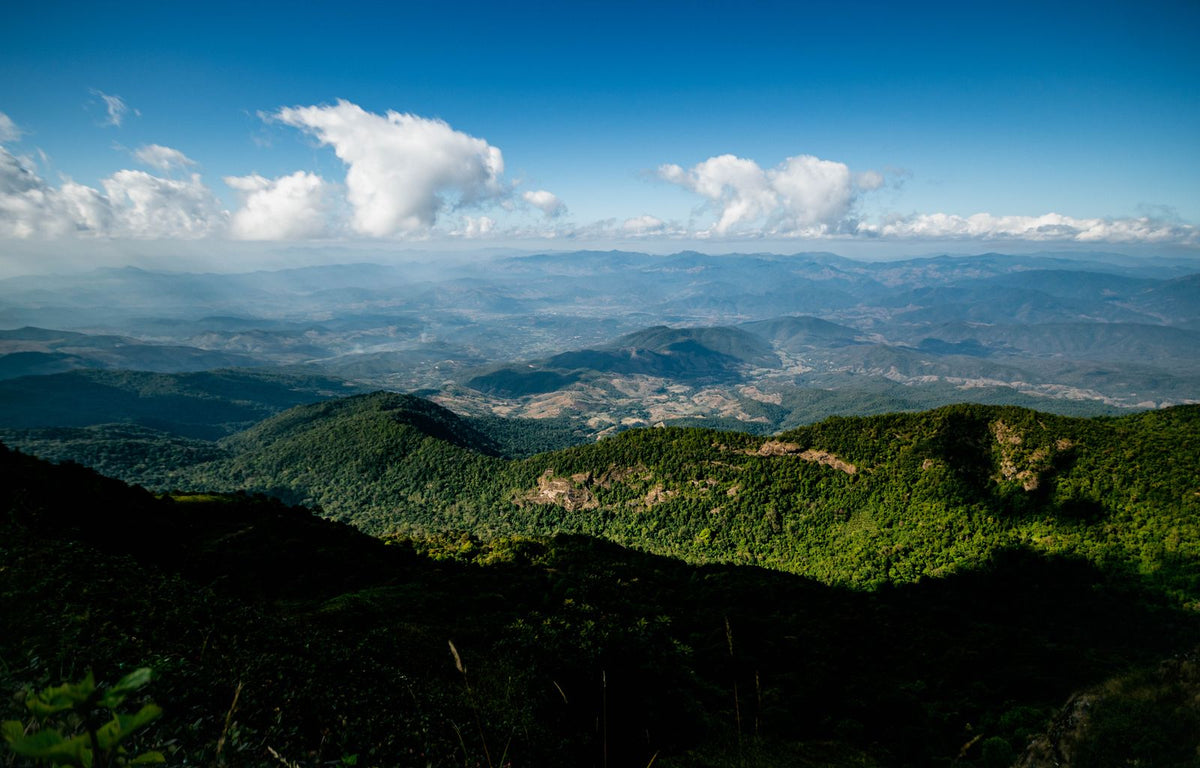 Forested mountains near Chiang Mai