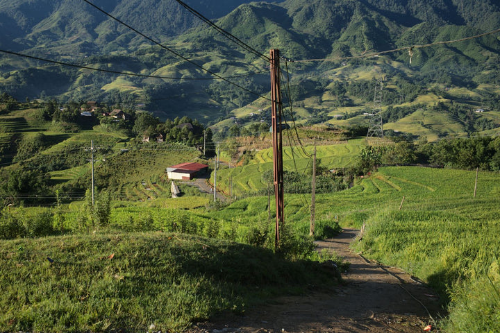 Terraced rice fields in Lao Cai