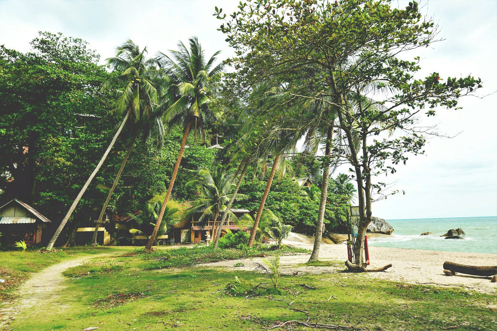 Tropical beach on Koh Phangan