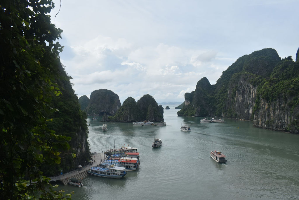 Limestone islands of Ha Long Bay