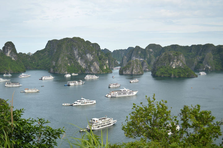 Cruise boats in Ha Long Bay