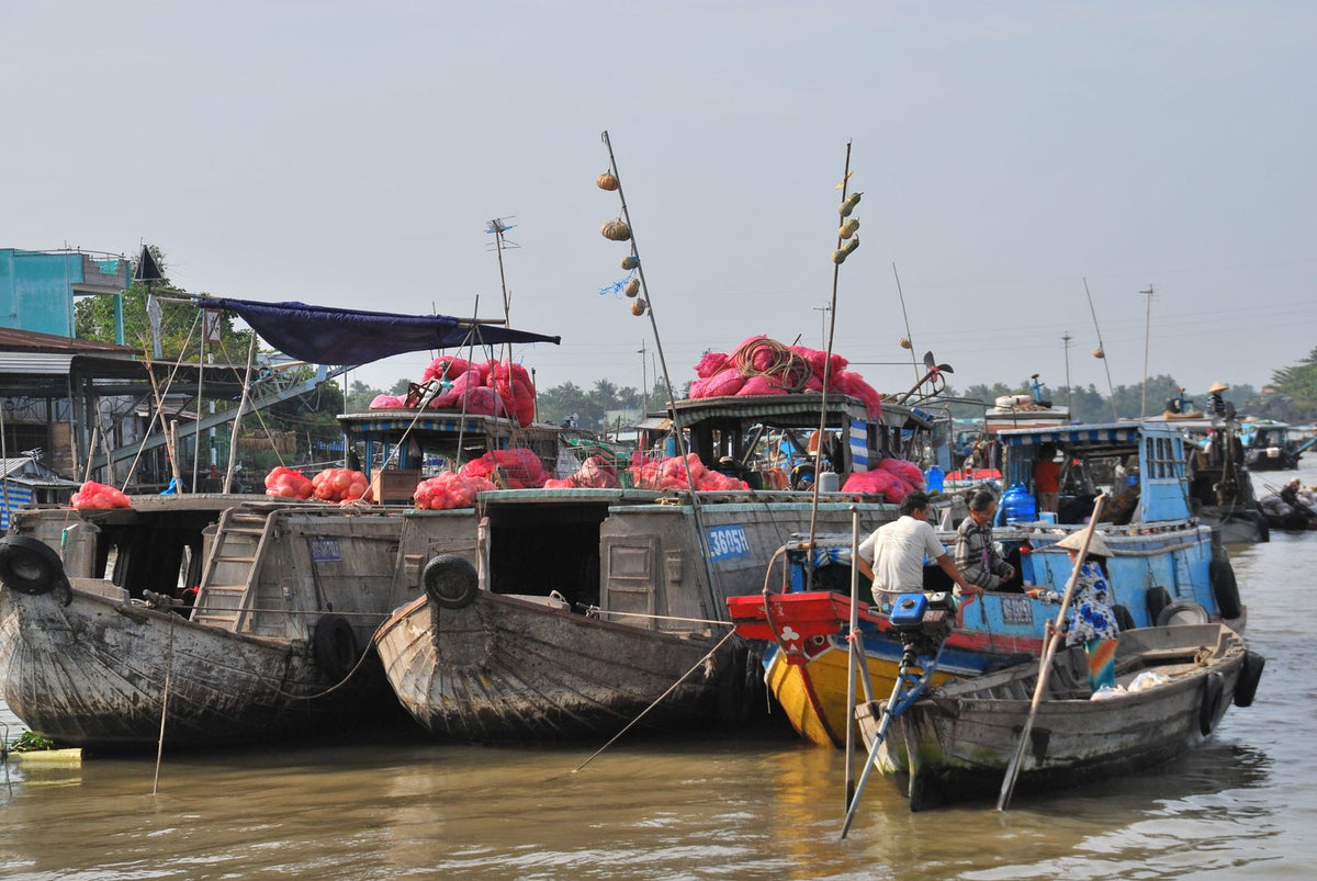 Boats at a Mekong Delta floating market