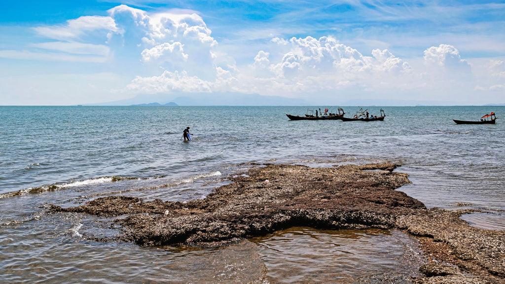 Boats near the rocky shore in Kep