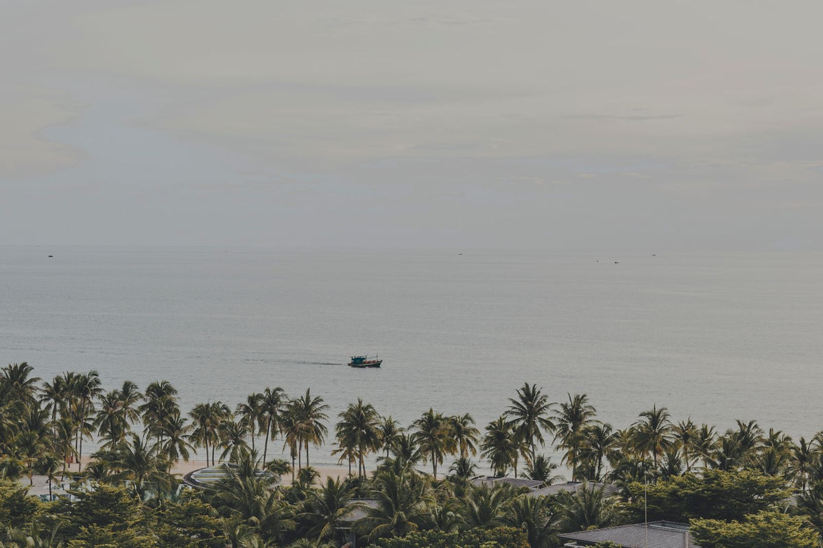 Palm-lined beach on Phu Quoc