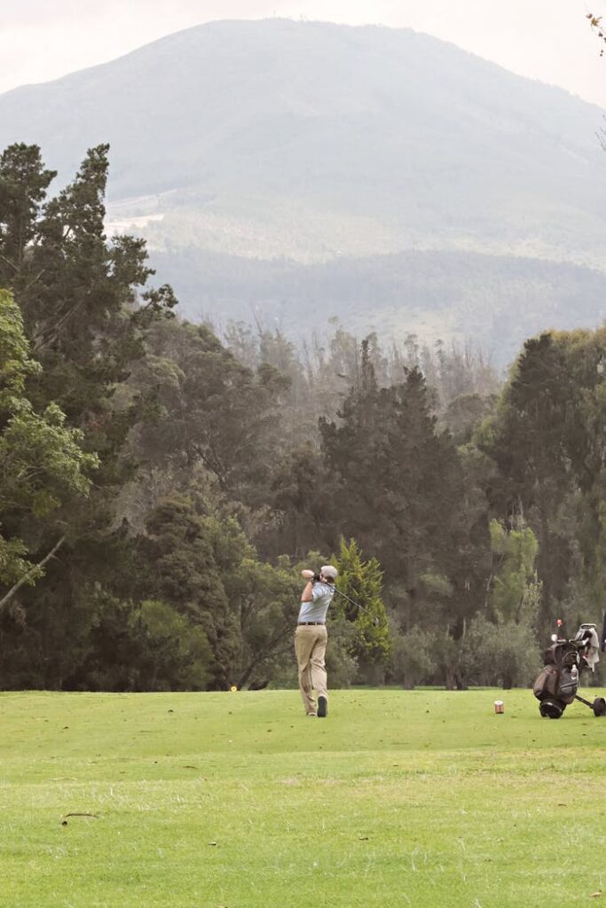 Home pexels photo 33855294.jpeg